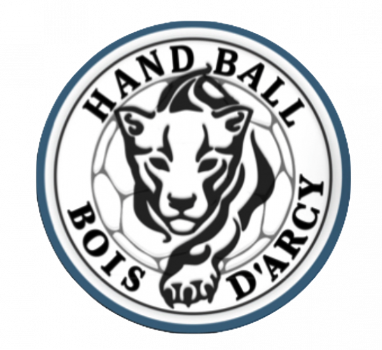 Logo Handball Bois d'Arcy
